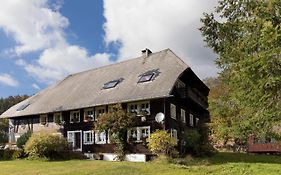 WÄLDER: Quartier Dachsberg